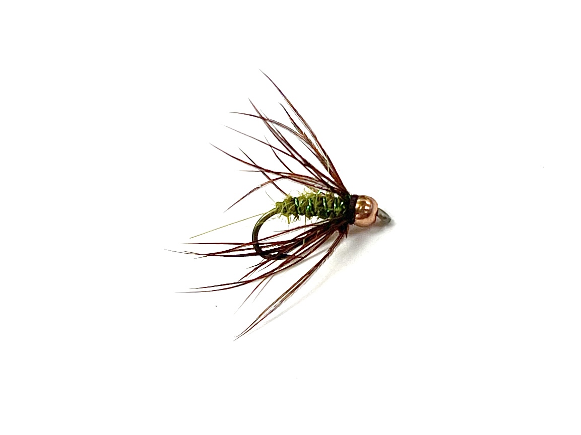 Chan's Long Horned Caddis Pupa